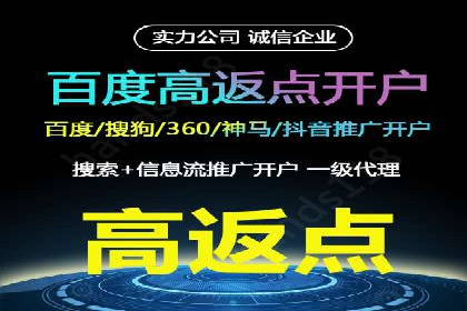 SEM外包策略在电商平台的成功案例
